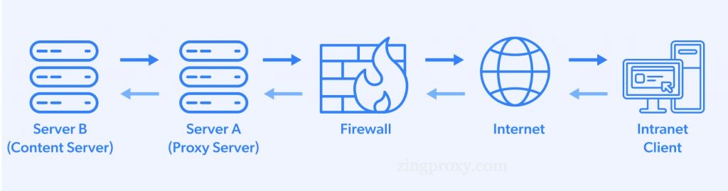 Sơ đồ mô tả hoạt động của Proxy ngược