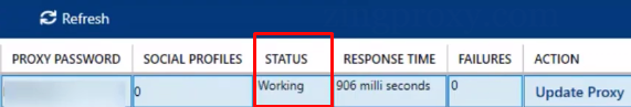 Trạng thái Working biểu thị xác minh thành công